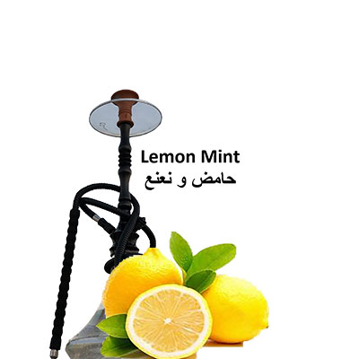 Arguileh-Lemon-Mint